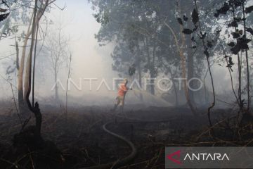 Kebakaran lahan di Rasau Jaya Kubu Raya Kalbar