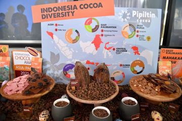 Menkop UKM: Kakao jadi sumber ekonomi baru