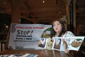 Rumah Kucing Semarang: Penyiksaan hewan adalah fenomena gunung es