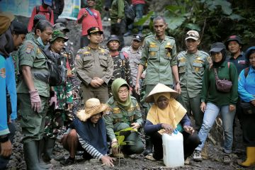 BBTNLL tanam bibit pohon nantu di lokasi tambang ilegal Sidondo I Sigi