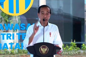 Presiden minta Menko Marinves-BKPM aktif pasarkan industri Batang