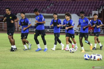 Skuad Malaysia di Piala AFF, gabungan pemain lokal dan naturalisasi