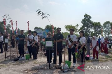 Babel targetkan tanam 2,5 juta pohon kurangi lahan kritis