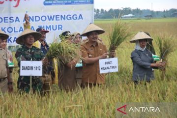 Bupati Kolaka Timur luncurkan program Listrik Masuk Sawah