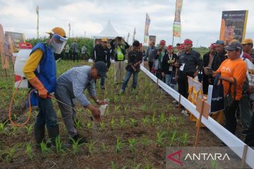 Kementan minta inovasi pertanian disebarkan hingga Indonesia Timur