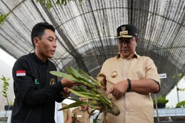 Akademisi IPB dukung Sulbar jadikan Mamasa produsen anggrek nasional