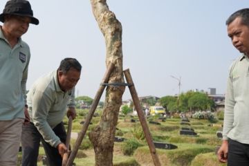 Jakbar sasar lahan fasos dan fasum untuk ditanami pohon pelindung