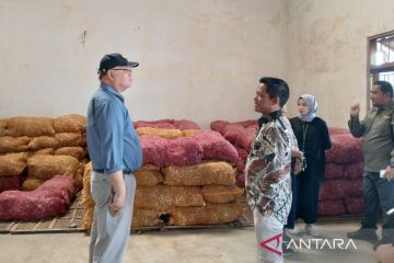 Kelompok tani Temanggung rasakan manfaat program food estate