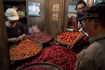 Bapanas pastikan stok pangan di Pasar Bogor aman