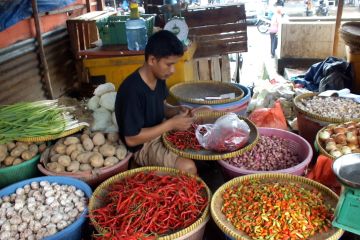 BPS catat inflasi Babel terendah se-Indonesia