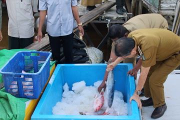 Cara Pontianak berdayakan hasil laut berbasis masyarakat