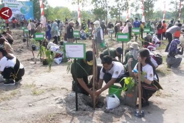 Hijaukan lahan kritis akibat tambang & deforestasi lewat Semarak Babel