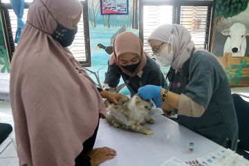 Jaga status nol kasus rabies, DKPP Madiun rutinkan vaksinasi gratis