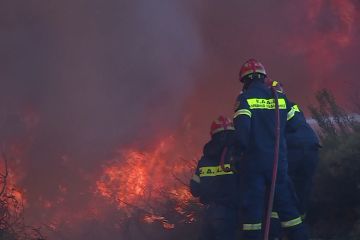 Karhutla besar landa wilayah dekat Athena, satu orang tewas