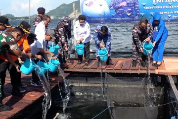 Lantamal X Jayapura panen 5 ton mujair dan lepas ribuan bibit