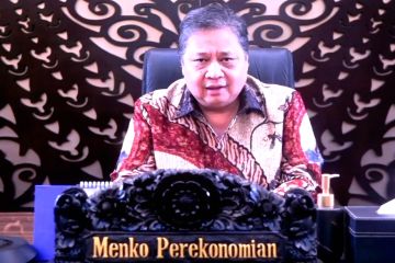 Menko Ekonomi: Ekonomi hijau hemat anggaran negara hingga Rp3 triliun