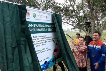 Program Taman Kehati manfaatkan lahan rawa jadi hutan dalam kota