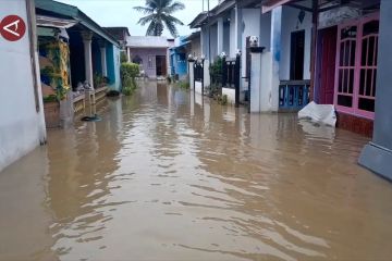 Hujan terus menerus, ratusan rumah warga di Palu terendam banjir