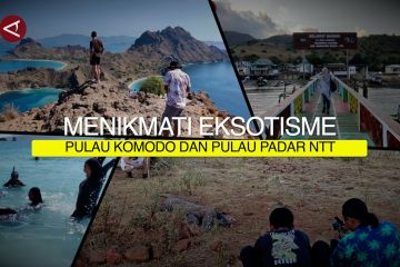 Menikmati eksotisme Pulau Komodo dan Pulau Padar NTT