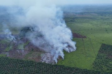 Satgas Bencana Kalbar tangani 600 hektare lahan terbakar