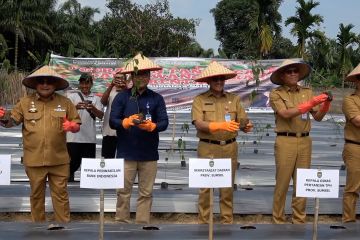 Sumsel masifkan Gerakan Tanam Cabai dan Bawang Merah Serentak