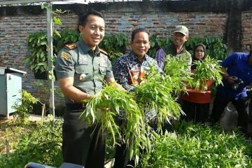 Dorong berkebun, Pemkot Tangerang gelar panen bersama