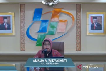 BPS catat total wisman semester pertama 2024 capai 6,41 juta kunjungan