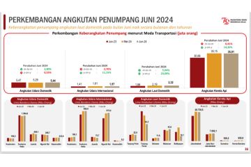 BPS: Jumlah penumpang transportasi udara dan laut naik pada Juni 2024