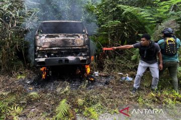 Satgas: KKB bakar satu truk dan bunuh sopir di Dekai