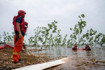 Pertanian pulih setelah tanggul jebol di China Tengah sukses ditutup