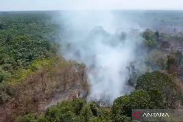 BPBD: Kabut asap di Mukomuko dari kebakaran lahan gambut