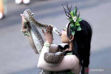 Uniknya parade hewan peliharaan di Jember