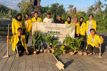 UI bangun kepedulian lingkungan lewat penanaman pohon kelapa hibrida