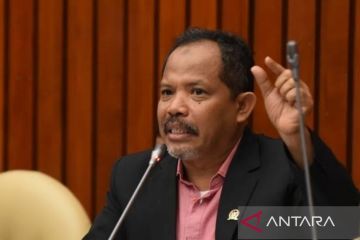 Anggota DPR sarankan pemerintah fokus subsidi pupuk daripada BLT