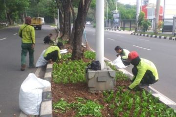 Jakbar percantik jalur hijau di Kembangan