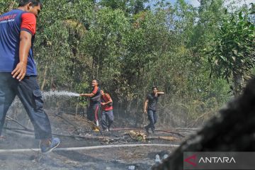 Pemkab Bangka Barat kerahkan relawan cegah karhutla