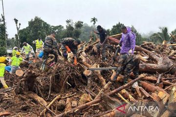 Korban tewas akibat longsor di India menjadi 215 orang, 206 hilang