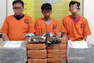 Polres Padangsidimpuan gagalkan pengiriman 10 bal ganja ke Bekasi