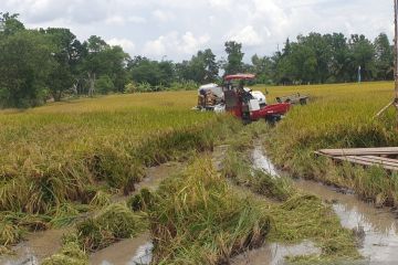 Kodam Sriwijaya tuntaskan optimalisasi lahan rawa 72.993 hektare