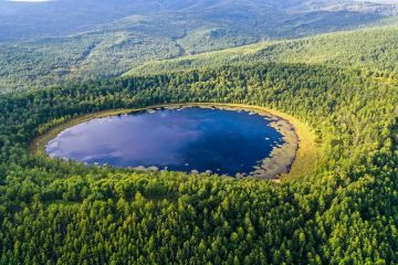 Mongolia Dalam duduki peringkat teratas penyerap karbon di China