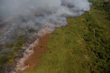 Peneliti China berhasil hitung emisi karbon global pembakaran biomassa