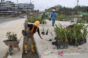 Menengok penghijauan jalur pedestrian di IKN