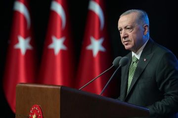 Erdogan desak reformasi DK PBB, suarakan kekhawatiran global