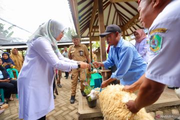 Peternak Banyuwangi dilatih bikin silase untuk ketersediaan pakan