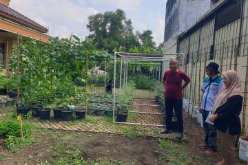 Ketua LPPM Unsri Palembang kembangkan 'urban farming 4 in 1'