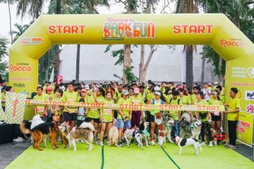 Rocco Dog pecahkan rekor MURI jalan sehat bersama anjing terbanyak