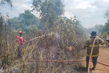 Damkar Belitung padamkan kebakaran satu hektare lahan kering