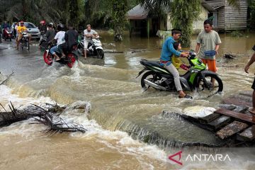 Ribuan warga terdampak banjir dipicu hujan deras di Aceh Singkil