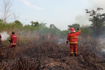 Damkar Jambi turunkan 12 armada padamkan 3,5 ha lahan terbakar 