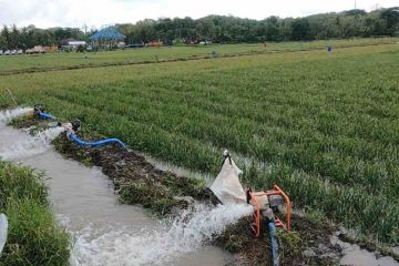 Mentan: Mitigasi risiko kemarau panjang dengan pompanisasi